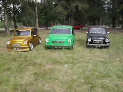 SDC11006 SDC11006