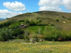 DSCN0671 DSCN0671