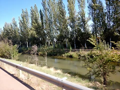 7 DSCN8986