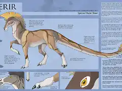 acerir___species_model_sheet_by_ulario-d6fqr2z