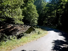 DSCN4527 DSCN4527