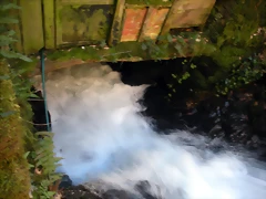 DSCN2989 DSCN2989
