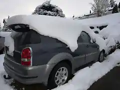 Rex im Schnee seitlich hinten