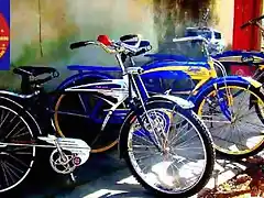 2 Columbias y una Schwinn