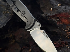 dpx31 dpx31