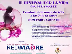 Festival por la Vida 2014