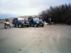 img005 img005