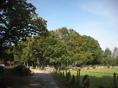 DSCN9739 DSCN9739