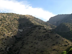 A142