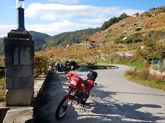 DSCN9785