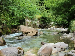 IMG_6694 IMG_6694