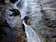 DSCN0682 DSCN0682