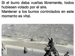 4918A8A1-C23B-436F-A1F4-A8B4FB076832