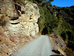 DSCN6229 DSCN6229