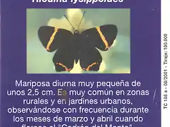 MARIPOSA010