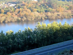 58-IMG_4305