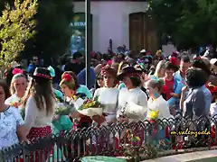 14, ofrenda de flores, marca