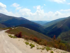 DSCN1146 DSCN1146