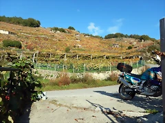 DSCN9782