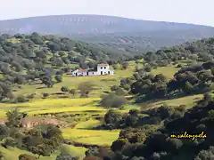 05, cortijo de roa, marca