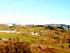DSCN1996 DSCN1996