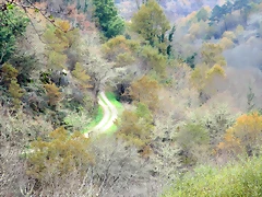 71-IMG_3949 71-IMG_3949