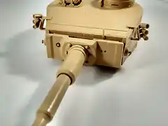 Tiger19