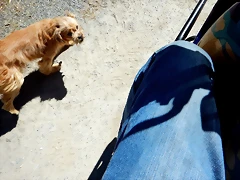 DSCN2336 DSCN2336