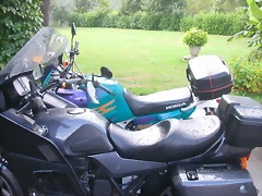 DSCN3991 DSCN3991