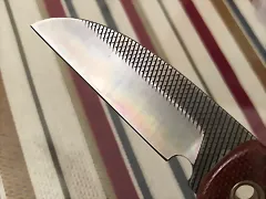 pati3