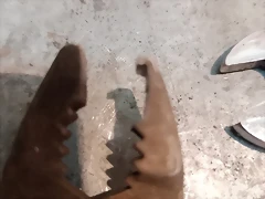 34
