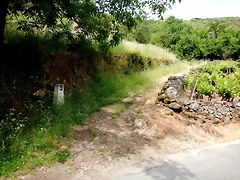 DSCN3417 DSCN3417