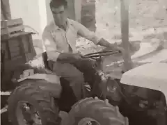 Transportando uva en el tractor (2)