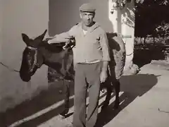 Burro preparado para cargar