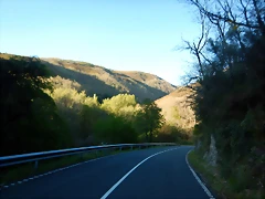DSCN0195 DSCN0195