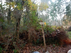 DSCN0730 DSCN0730