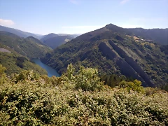 DSCN1550 DSCN1550