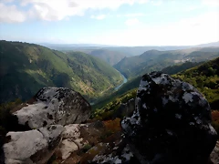 DSCN1303