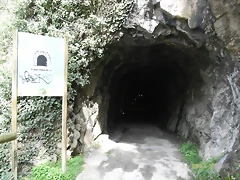 R0012410 R0012410