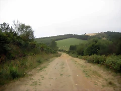 IMG_0230 IMG_0230