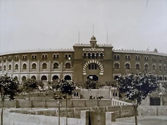 26