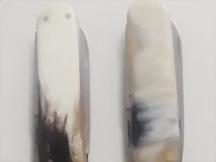 aaa (1)