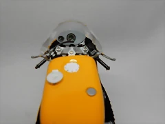 DSCN4546 DSCN4546