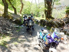 DSCN5064 DSCN5064