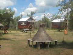 DSCN1413