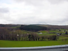 DSCN8409