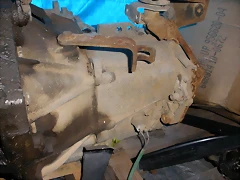 P3170078 P3170078