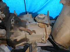 P3170079 P3170079