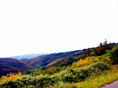DSCN5216 DSCN5216