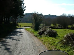 DSCN1537 DSCN1537